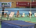 60m W Guest