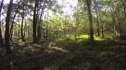 Wilderness 101 - Longberger Trail