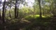 Wilderness 101 - Longberger Trail