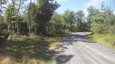 Croyle Run trail turn - Wilderness 101