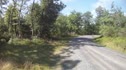 Croyle Run trail turn - Wilderness 101