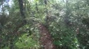 Stoopid 50 - Beautiful Trail