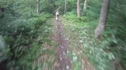 Stoopid 50 - Shitaka Trail - Lower Section