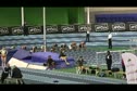 60m hurdles mens