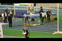 SP Mens 7