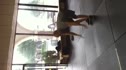 John Marshall, Crossfit Richardson 33 burpees 57.4