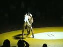 TVIT Finals 140-Martinez vs Cano
