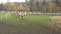 Midlands XC 2012 - Senior Men