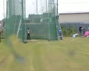 Womens Hammer Shaunagh Brown