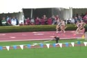 W 800 P H3 (Semis)