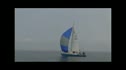 2011 Dead Crab Regatta