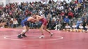 Colt Shorts Dirty Throw