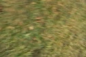 M2U00295