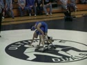 113 lbs.  Alex DiGergorio  vs  Matt McGuire Fort Leboeuf