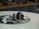 195  lbs.  Logan Stout  Brookville  vs Andrew Salamone  Pen Argyl