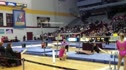 Minnesota (Jenny Covers) - 9.450