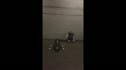 Chuck Browder Winter Open WOD#2 Time 8 10