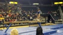 Michigan (Brittnee Martinez) - 9.825