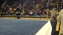 Illinois (Alina Weinstein) - 9.875