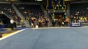 Illinois (Kelsey Joannides) - 9.85