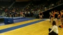 Illinois (Jaclyn Kantecki) - 9.425