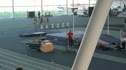 Senior men 800m Heat 2