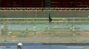 Men's 800m B Race