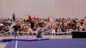 Kips (Kaitlin Rahon) 9.5