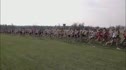 Midwest D1 XC Regionals 09
