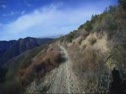 wmv9