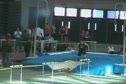 M pole vault