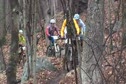 Cat 1 Start H5
