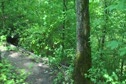DSG Course View 4
