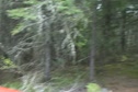 Canada Cup #1 Baie Saint Paul Course View