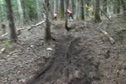 Course View - Plank DH