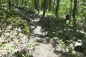 Canada Cup #2 Course View