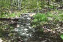 Canada Cup #2 Course View 2