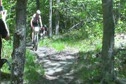 Uncut Bonus Footage | Kris Sneddon & Adam Morka