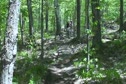 Uncut Bonus Footage | Adam Snyder