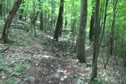 HOO-HA Course View 1