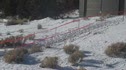 Last Run Up: Finish Cross Nats