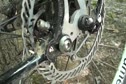 Tech Talk Greg Martin's Black Cat Single Speed