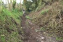 UNCUT: Stage 3 Grant, Sonntag, Schultz Chase