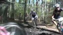 Root 66 Massasoit Lung Opener