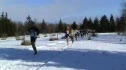 2008 Canadian Champs Masters 8k Race