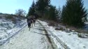 2008 Canadian Champs Women's Senior 7k
