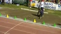 Kenta Bell LJ attempt 1
