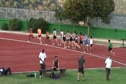 M 1500 H01 (Leer 3:44, 2010 Nuoro)