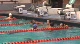 Gregg Troy, Florida Warm Down (UF)