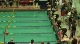 m hs 50 scy free final ha d1